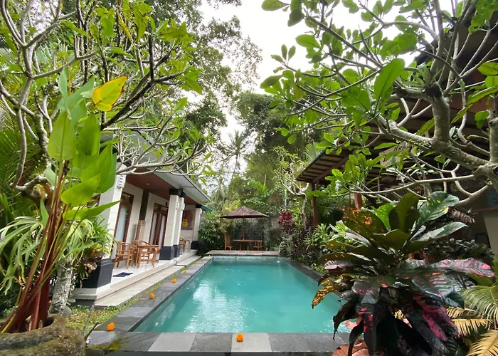 D'bunut Tranquil By Eps