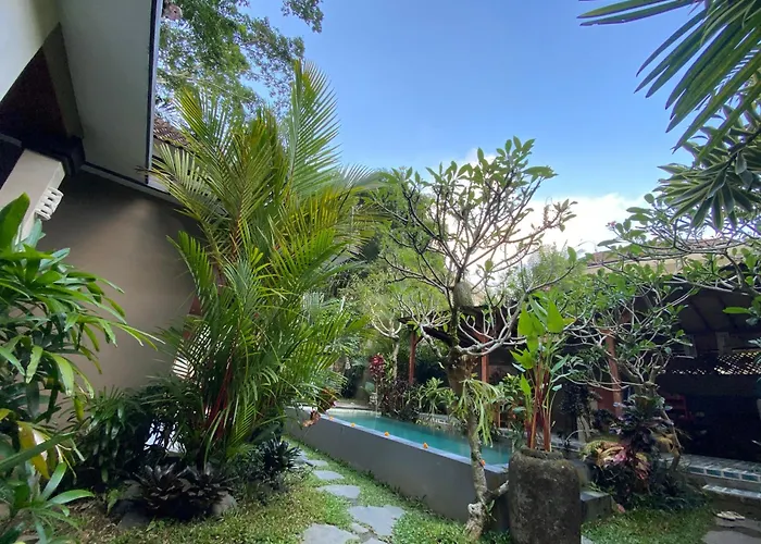D'bunut Tranquil By Eps